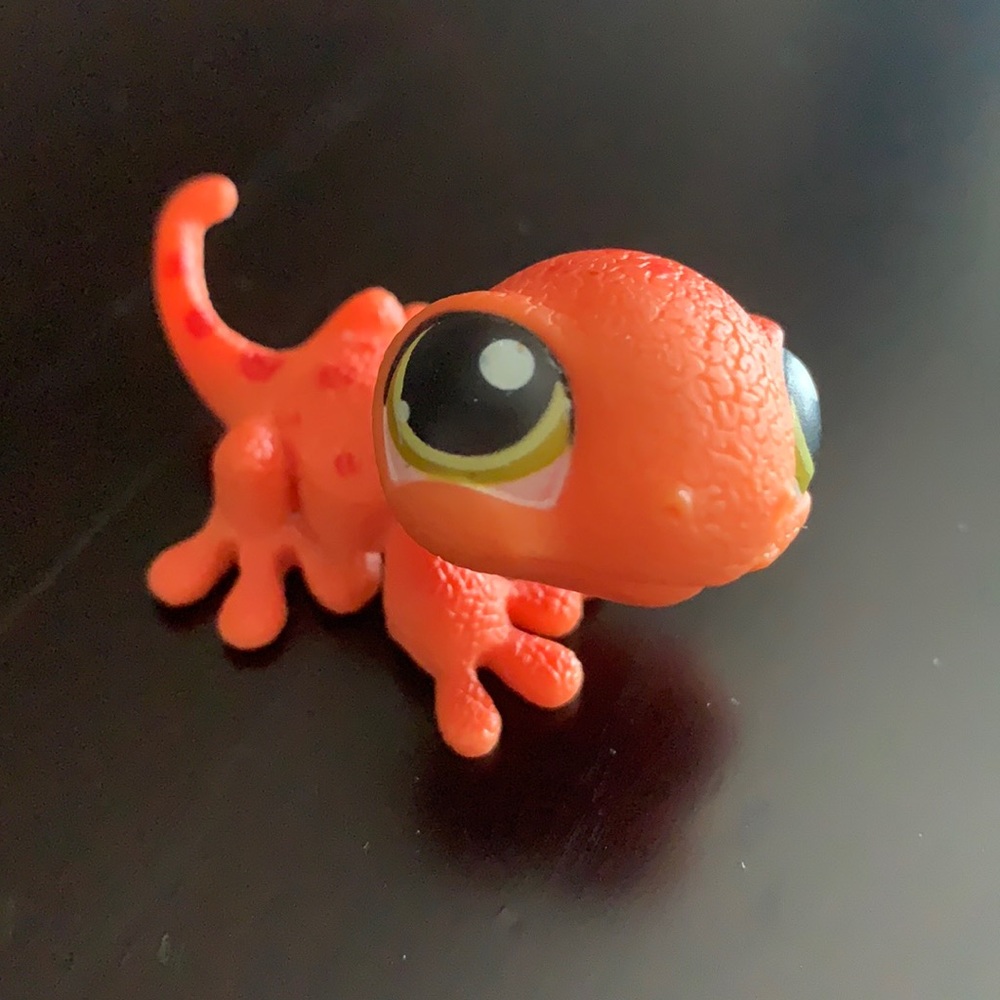 Orange lps lizard